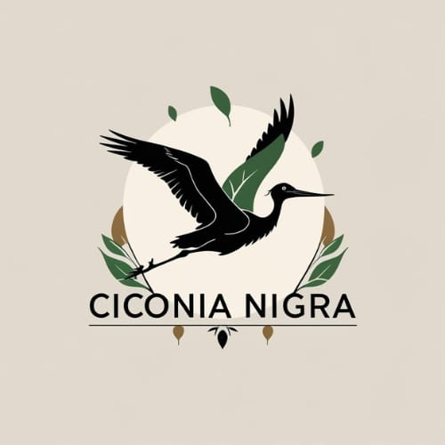 CiconiaNigra